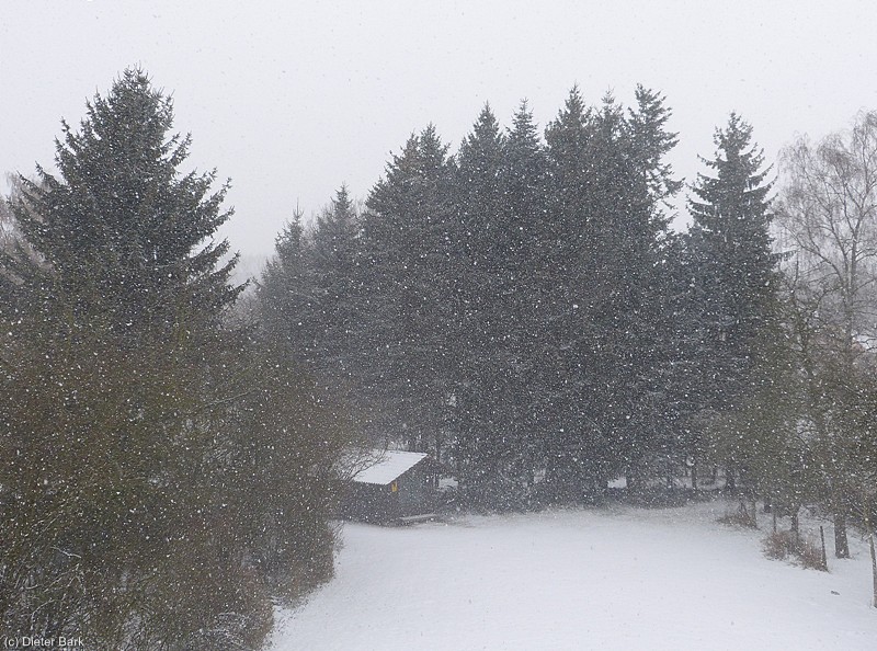 060 Fruehlingsanfang mit Schneeschauern in unserem Naturgarten